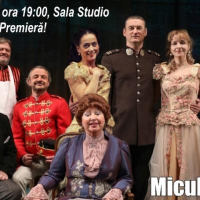 MICUL INFERN de Mircea Ştefănescu se joacă de 10 ani cu mare succes pe scenele TNB!