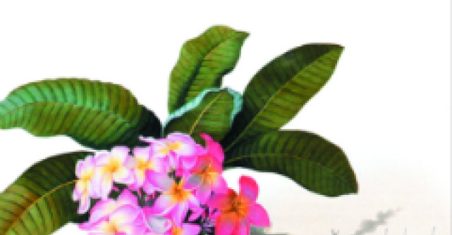 Concurs: Castiga noul roman de Isabel Allende!