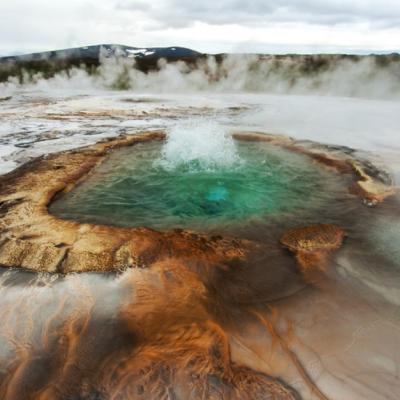 Oamenii de știință au descoperit o bacterie care poate mânca poluarea și genera electricitate