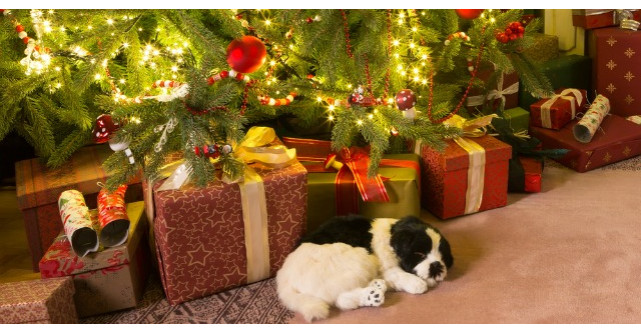 Cinci pasi pentru planificarea sarbatorilor de Craciun alaturi de cei dragi