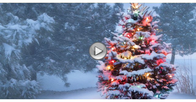 Video: Imparte Craciunul in acest an. Clipul EMOTIONANT inspirat din realitate