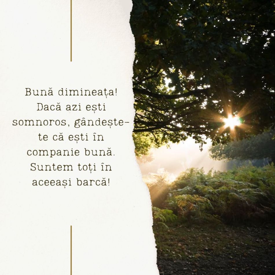 O zi frumoasă: Spune-i bună dimineața la cafea cu urări  DE BUNĂ DIMINEAȚA