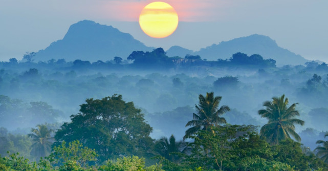Există speranță. Atunci când folosești drone pentru a planta 100.000 de copaci pe oră