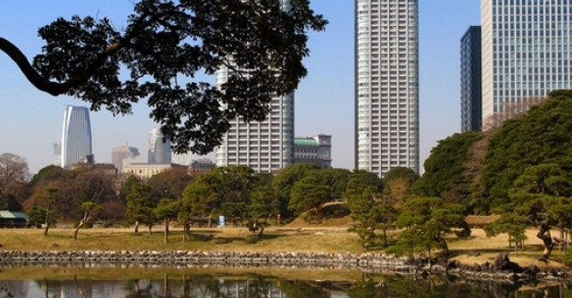 SAKURA - Festivalul Florilor de Cires in JAPONIA