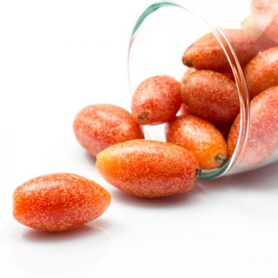 5 Remedii naturiste pe baza de catina