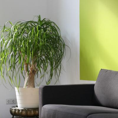 Cauti apartament de inchiriat? 5 lucruri la care sa fii atent si 5 la care poti inchide ochii