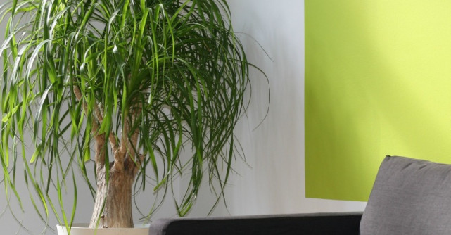 Cauti apartament de inchiriat? 5 lucruri la care sa fii atent si 5 la care poti inchide ochii