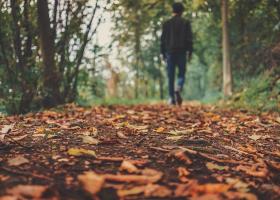 Care sunt cele mai îndrăgite flori de toamnă