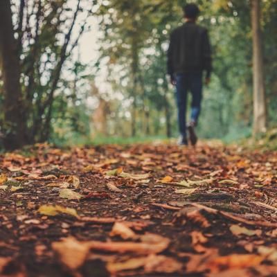 Care sunt cele mai îndrăgite flori de toamnă