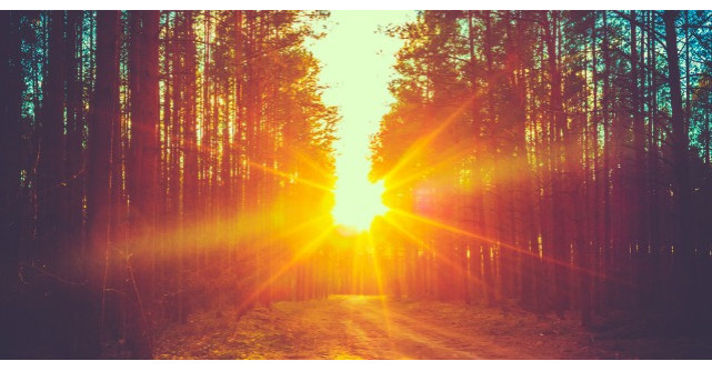 Cele 10 Porunci care sa te ghideze in viata