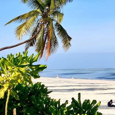 Asante sana, Zanzibar!