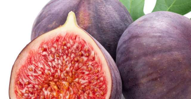Beneficiile SMOCHINELOR: fructele miraculoase pentru sanatate