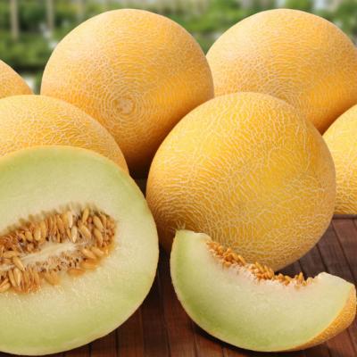 Beneficiile pepenelui galben. De ce este bine sa il mancam?