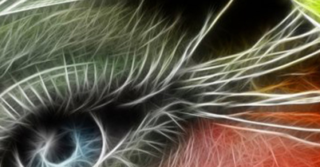 Puterea cuantica a MINTII