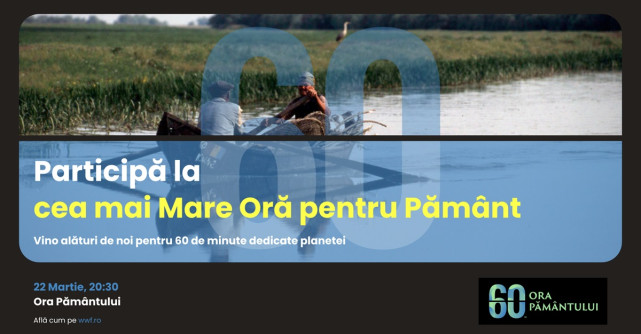 Ora Pământului 2025: Cum te poți alătura celei mai mari mișcări pentru planetă?