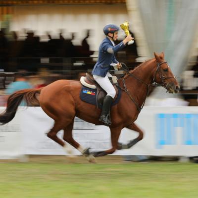 Karpatia Horse Show 2026: ultimele detalii despre cel mai important concurs ecvestru din România