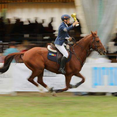Karpatia Horse Show 2026: ultimele detalii despre cel mai important concurs ecvestru din România