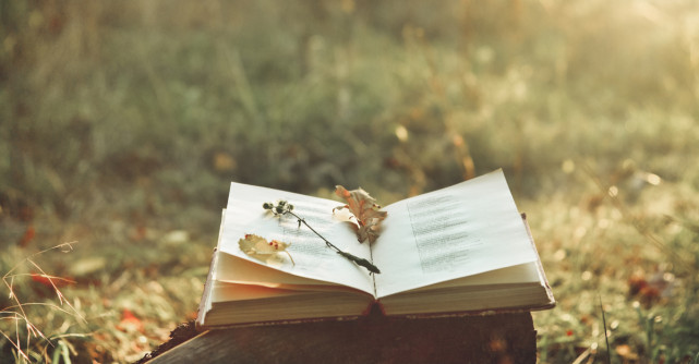 Versuri pentru suflet: Cele mai frumoase poezii