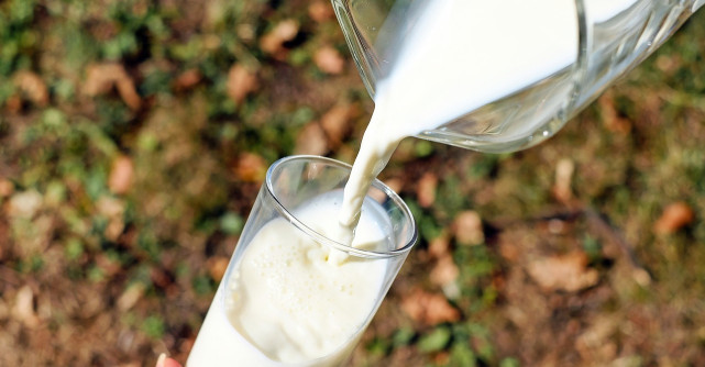 Cum sa-ti prepari singura lapte vegetal cu ciocolata: Fara zahar, gata in 10 minute