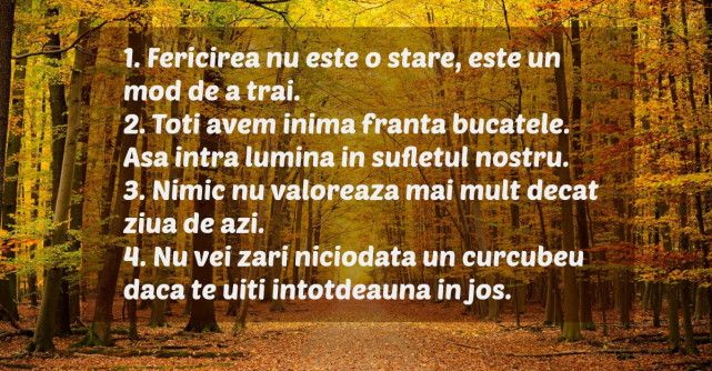 Picaturi de Zen pentru luna noiembrie