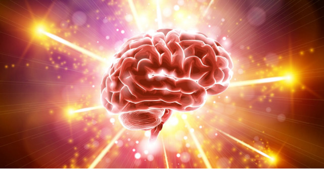 6 Porti catre glanda pineala