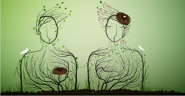 Patru moduri pentru a-ți folosi ego-ul în mod conștient