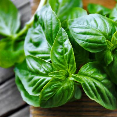 Efectele nebanuite ale busuiocului. Include-l mai des in alimentatie