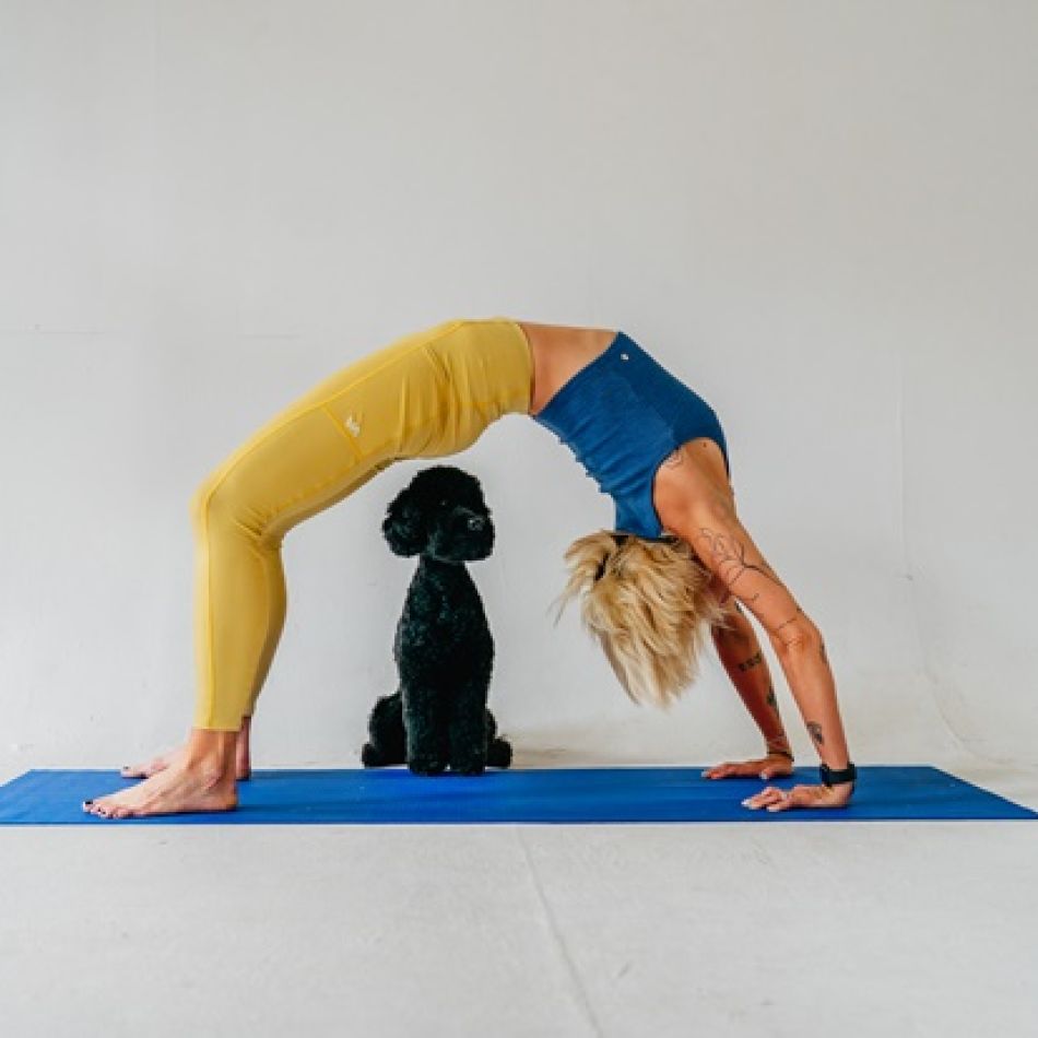 Pet Yoga: Beneficii pentru sănătatea ta și a animalului de companie