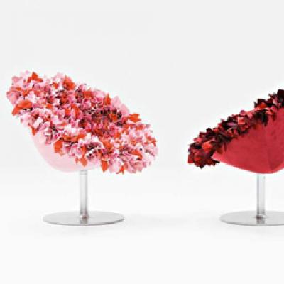 Trend: fotolii contemporane