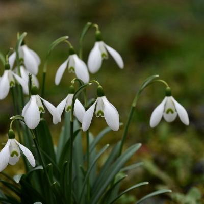 Iubirea de sine este cel mai frumos mărtișor pe care îl porți purta în suflet
