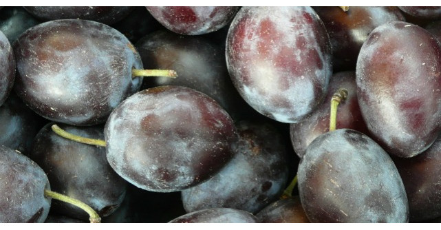 Ce se intampla in corpul tau cand mananci prune