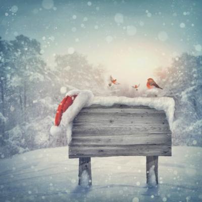 Citate emotionante de Craciun care te vor face sa crezi din nou in magia sarbatorilor