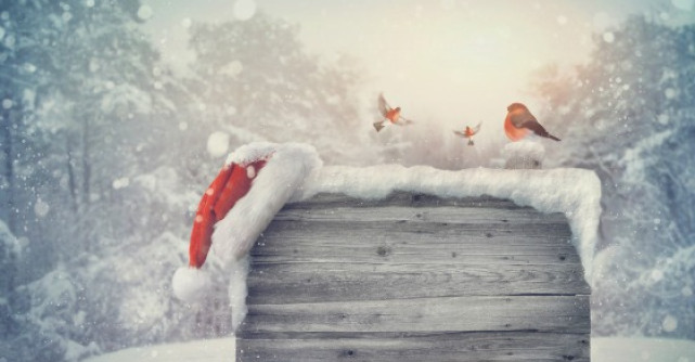 Citate emotionante de Craciun care te vor face sa crezi din nou in magia sarbatorilor