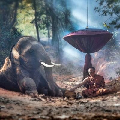 O pilda minunata despre ce inseamna sa fii om