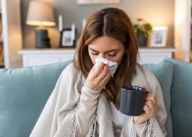 Febra tifoidă: cauze, simptome și tratament