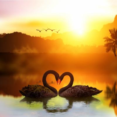 Șapte pași pentru a atrage mai multă iubire în viața ta