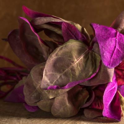 Loboda: Beneficii pentru sanatate si cum sa o preparam