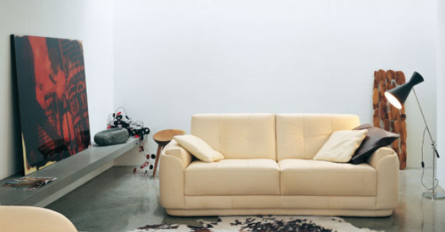 Piese de mobilier moderne, din piele