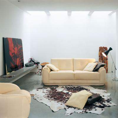 Piese de mobilier moderne, din piele