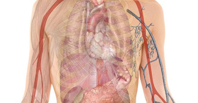 5 Tratamente naturiste pentru SPLINA