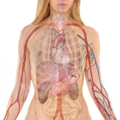 5 Tratamente naturiste pentru SPLINA