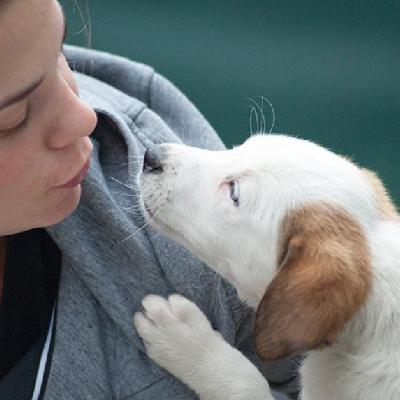 Elimină mirosurile neplăcute ale animalelor cu ajutorul apei super alcaline