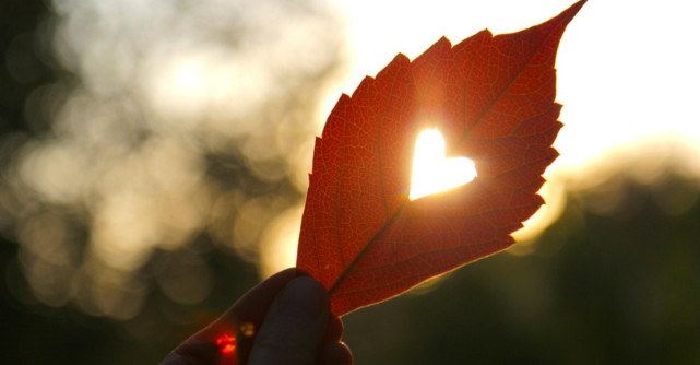 Cere-i scuze inimii tale pentru ca nu stii sa o iubesti cu adevarat