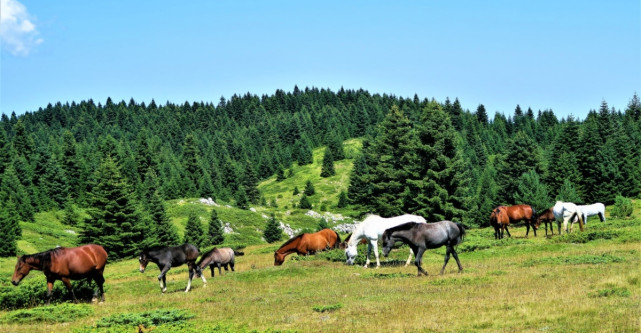 Destinatii turistice Romania: 4 locuri spectaculoase care par a fi scoase dintr-un volum de basme