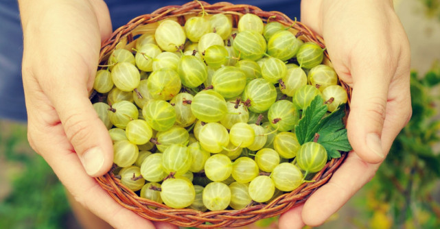 Acest fruct are de 20 de ori mai multa vitamina C decat portocalele