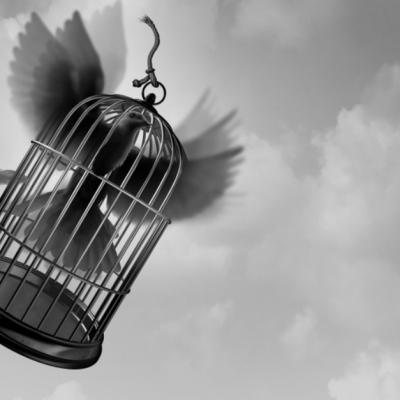 DANS și COLIBRI, cuvintele cheie pentru săptămâna 23-29 martie