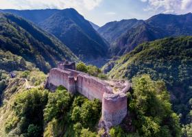 Panică la Cetatea Poenari: obiectivul turistic a fost închis după ce un urs a rupt gardul electric și a ajuns în zona turiștilor