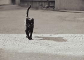 Vineri 13: Frica, superstiția și puterea simbolică a unei zile blestemate