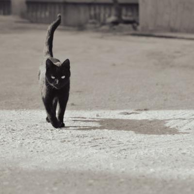 Vineri 13: Frica, superstiția și puterea simbolică a unei zile blestemate