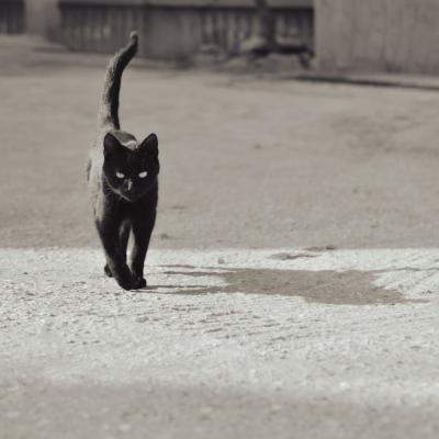 Vineri 13: Frica, superstiția și puterea simbolică a unei zile blestemate